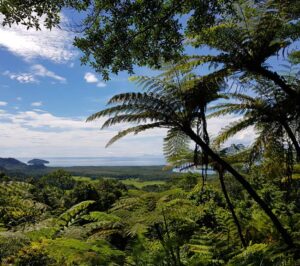 Douglas Shire Daintree