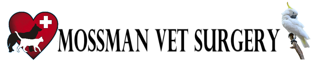 Mossman-VET